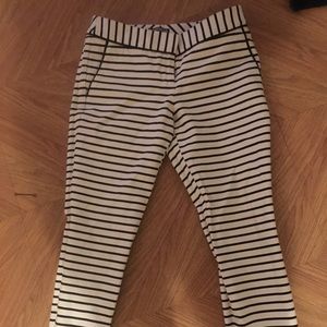 Express pinstriped slacks